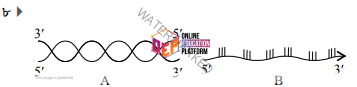 Diagram
Description automatically generated with low confidence